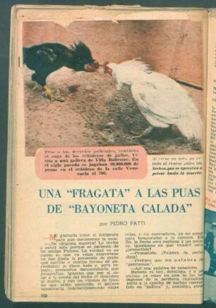 Una "fragata" a las puas de "Bayoneta Calada"