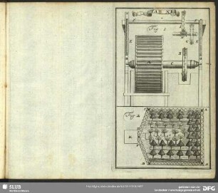 Tabula XI.