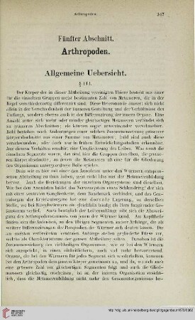 Fünfter Abschnitt: Arthropoden