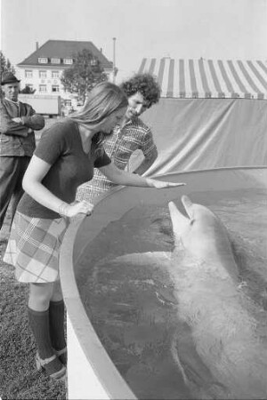 Gastspiel von "Connys Flipper Show" auf dem Messplatz in Karlsruhe