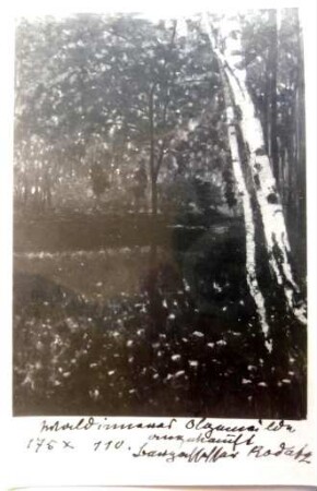 Waldinneres