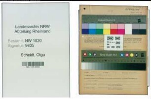 Entnazifizierung Olga Scheidt , geb. 05.03.1898 (Fabrikantin)