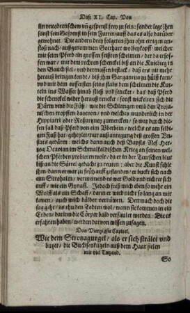 Das Viertzigste Capitel.
