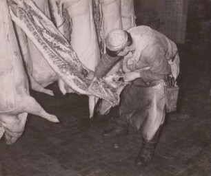 Entspecken von Schweinehälften : Dresden. VEB Vereinigte Fleisch- und Wurstwerke. Entspecken von Schweinehälften