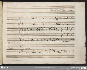Arminio. Excerpts - Mus.2973-F-34,11 : S, orch, bc