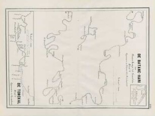 No. XV. De Batanc-Hari van Moeara Kompé tot Semalidoe. Blad V. De Tonckal. Blad I