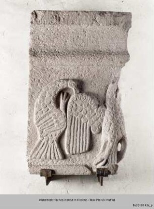 Vögel