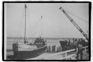 Windhuk (1929), Wyker Dampfschiff Reederei Wyk