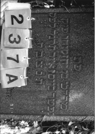 Grabstein 237 [Hahn S. 169 Grab-Nr. 912]: Grabstein 237A [Hahn S. 169 Grab-Nr. 912]