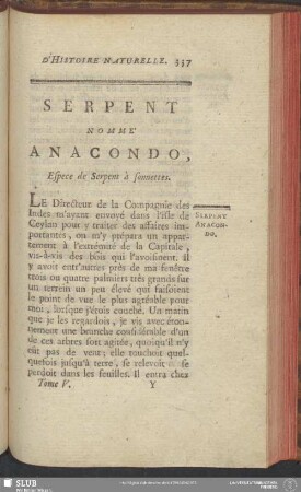 Serpent Nommé Anacondo, Espece de Serpent à Sonnettes
