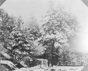 Mordgrundbrücke im Winter : Mordgrundbrücke im Winter. Fotografie (1860/1910; A. Kotzsch). Dresden: Stadtmuseum