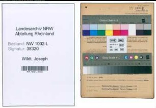 Entnazifizierung Joseph Wildt , geb. 27.11.1876 (Rechtsanwalt)