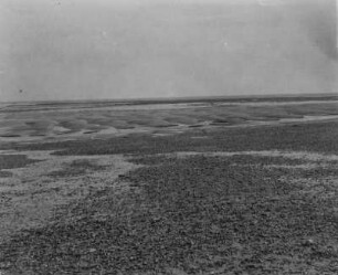 Das Riff bei Ebbe : Blick über das Riff vor dem Hafen von Barneville-Carteret bei Ebbe