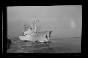 Cap Domingo (1958), Frachtschiff (reefer), Hamburg Südamerikanische Dampfschifffahrts-Gesellschaft A/S & Co KG (HSDG), Antwerpen, Bau-Nr. 1071