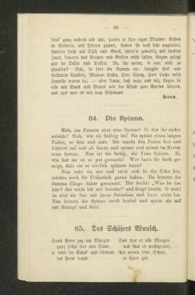 84. Die Spinne.