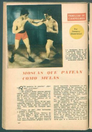 Moscas que patean como mulas : Familias de campeones