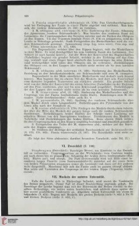 VII: Muskeln der unteren Extremität