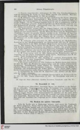 VII: Muskeln der unteren Extremität