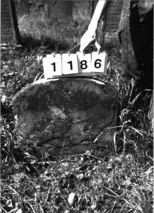 Grabstein 1186 (Index: 100098599) Maße HxBxT: 62x61x6 cm: Grabstein 1186