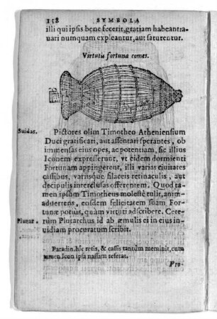 Virtutis fortuna comes.