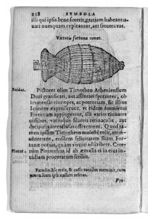 Virtutis fortuna comes.