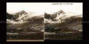 Gebirgslandschaft mit Weideplatz
