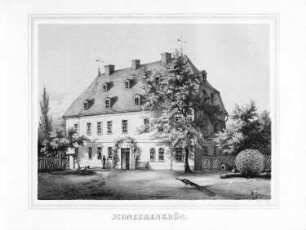 Schneckengrün