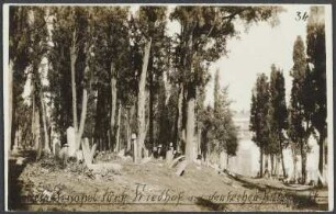 Blick auf Grabsteine unter Bäumen, im Hintergrund Gebäude, ehemaliger muslimischer Friedhof neben dem deutschen Generalkonsulat in Istanbul