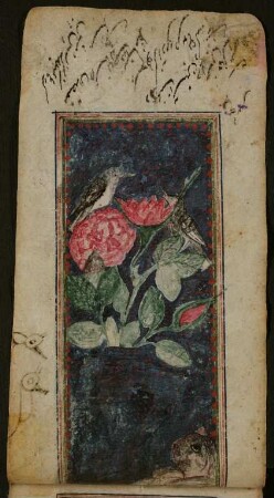 Illustration: Vogel in einem Strauch