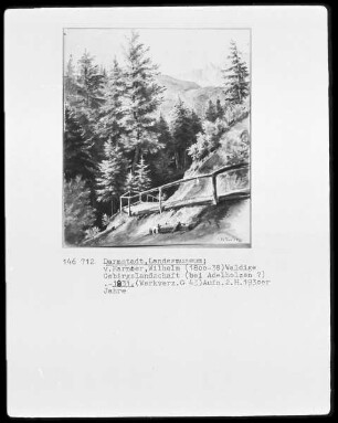 Waldige Gebirgslandschaft
