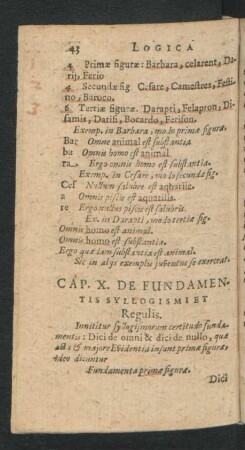Cap. X. De Fundamentis Syllogismi et Regulis.