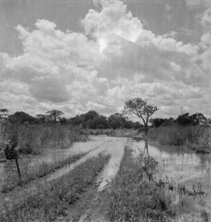 Überschwemmung : Der über die Ufer getretene Kigosi im Kigosi Game Reserve