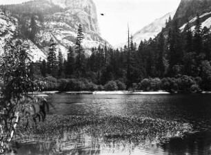 Mirror Lake : Der Mirror Lake im Yosemite-Nationalpark, mit Wald und Bergen im Hintergrund
