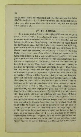29. Die Schlangen