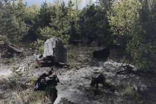 Ruine der gesprengten Fertigungshalle "F1" in Peenemünde