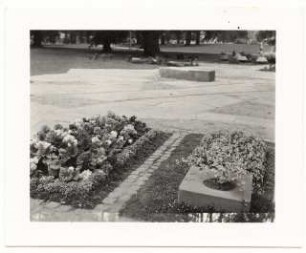 Bundesgartenschau 1955, Kassel: Musterfriedhof
