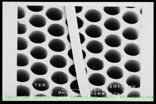 Rasterelektronenmikroskop (REM)-Aufnahme einer perforierten Mikrostruktur des Instituts für Mikrostrukturtechnik (IMT)