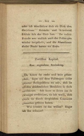 Zwölftes Kapitel. Eine angenehme Entdeckung.