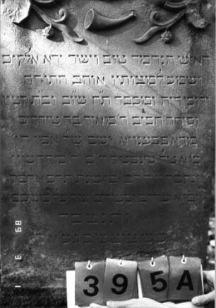 Grabstein 395 (Index: 99752642) Material: Sandstein Zustand: abgeblättert Maße HxBxT: 163x57x22 cm Beschreibung: Stele, profiliert. Sockel, eingezog. Rundbogenabschl. m. Mittel-u. Eckakroteren Symbolik: Schofar, Efeukranz, Ranken: Grabstein 395A