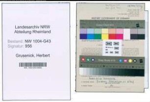 Entnazifizierung Herbert Grusenick , geb. 29.10.1912 (Kaufm.Angestellter)