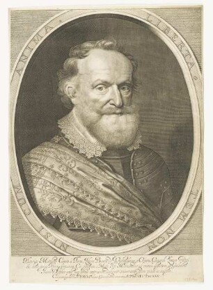 Bildnis des Henricus Matthaeus Comitus à Turri de Vallesassina