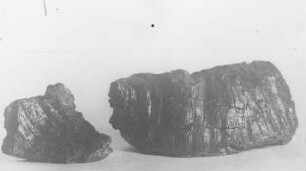 Künstliche Glanzkohle (R. Potonié) : Geologie | Kohlengeologie | Entstehung der Kohle