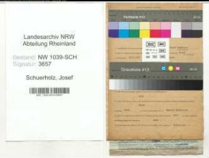 Entnazifizierung Josef Schuerholz , geb. 18.03.1895 (Kaufmann)