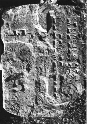 Grabstein 223 (Index: 100110547) Material: Sandstein Zustand: Fragment, stark verwittert mit Textverlust Maße HxBxT: 51x70x9 cm Beschreibung: Stele, Rundbogenabschluß, Schriftfelder eingetieft (Fragment): Grabstein 223