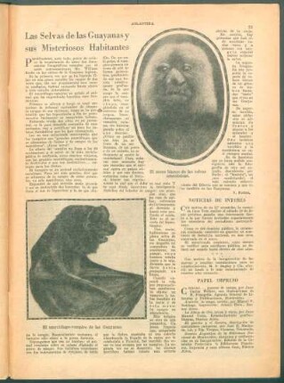 Las Selvas de las Guyanas y sus Misteriosos Habitantes