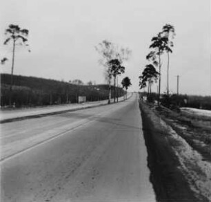 An der Autobahnauffahrt "Wilder Mann"