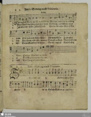 IX. Sehet euch vor für den falschen Propheten