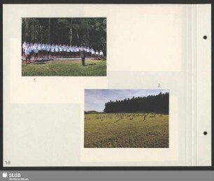 Bergsingen auf der Wiese am Kleinhennersdorfer Stein (Bild 1) : Dirigent: Axel Langmann