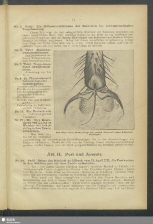 Abt. II. Pest und Aussatz