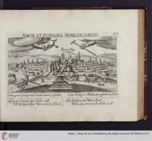 A71. Hammelburg in Francken, "Amor et Podagra immedicabilis"